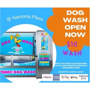 dog wash